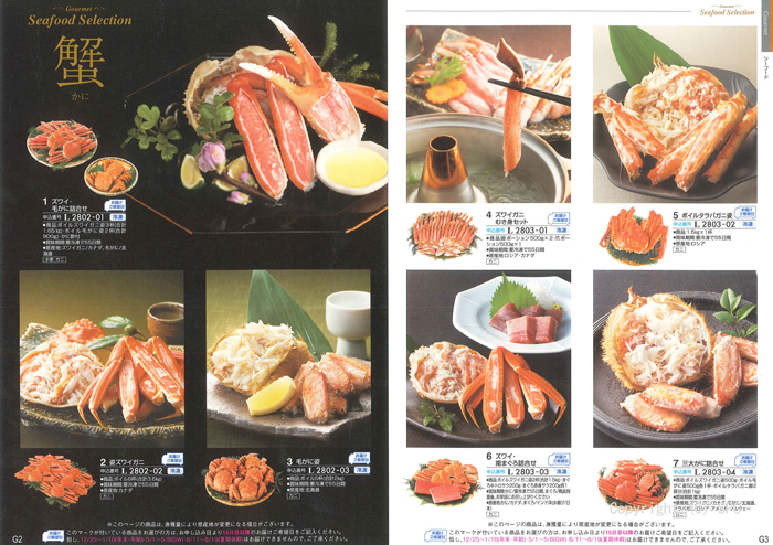 �J�^���O�M�t�g�E�ق̂��@�G���R�[�X