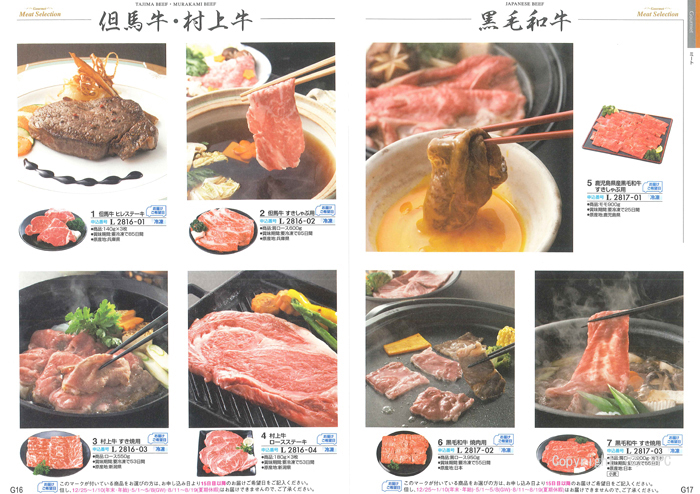 �J�^���O�M�t�g�E�ق̂��@�G���R�[�X