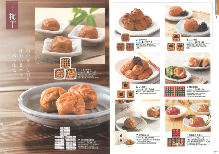 �J�^���O�M�t�g�E�ق̂��@�G���R�[�X