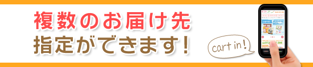 複数のお届け先が指定できます